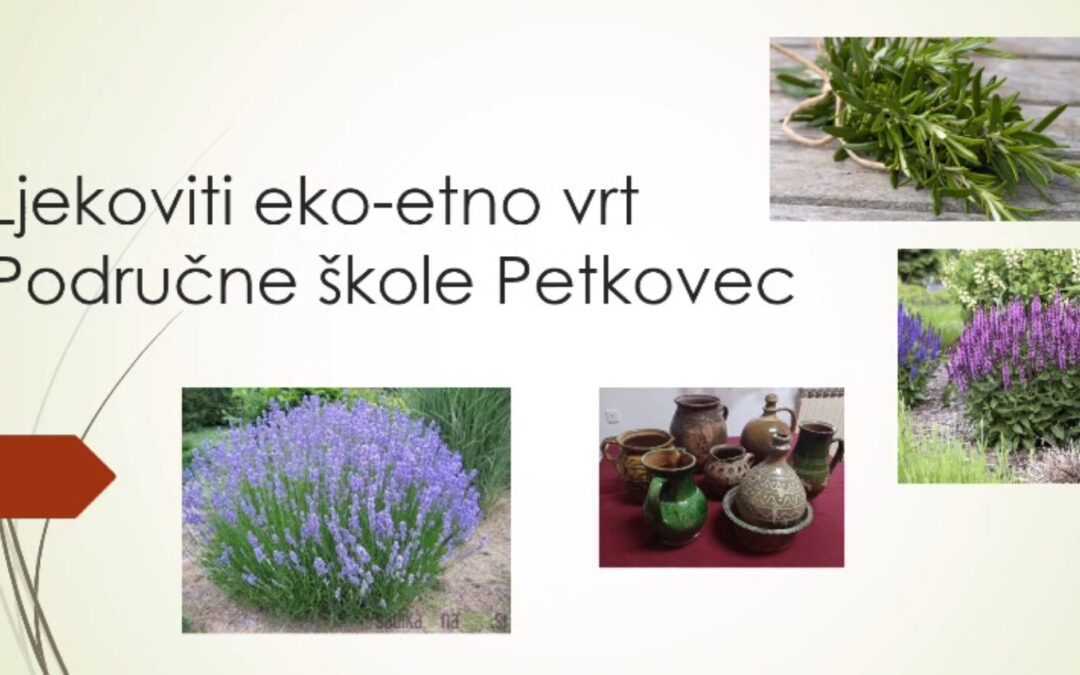 Projekt: Ljekoviti eko – etno vrt područne škole Petkovec